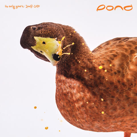 The Early Years: 2008 - 2010 album art