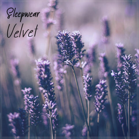 Velvet album art