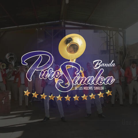 Exitos album art