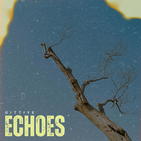 Echoes album art
