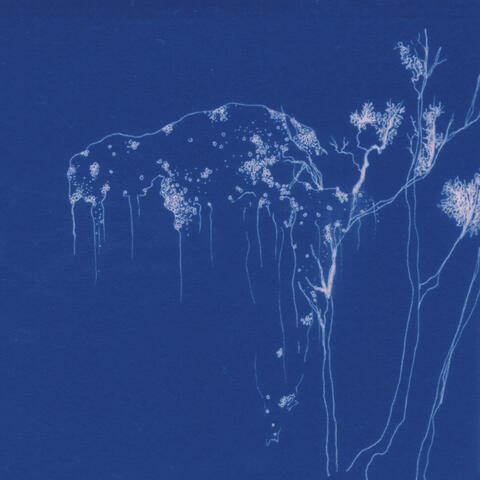 Cabuya album art