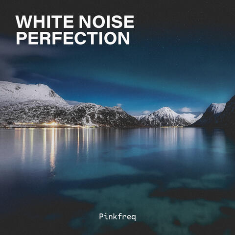 White Noise Perfection album art