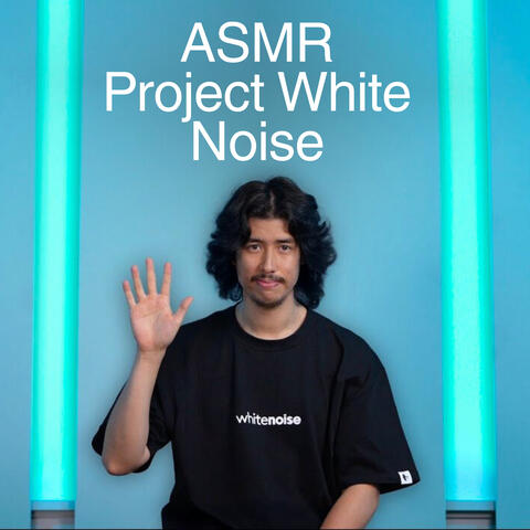 Project White Noise album art