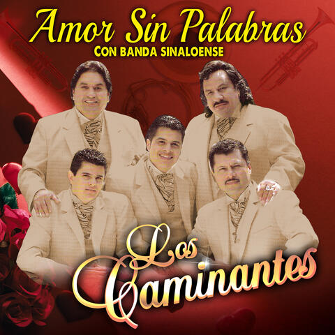 Amor Sin Palabras album art