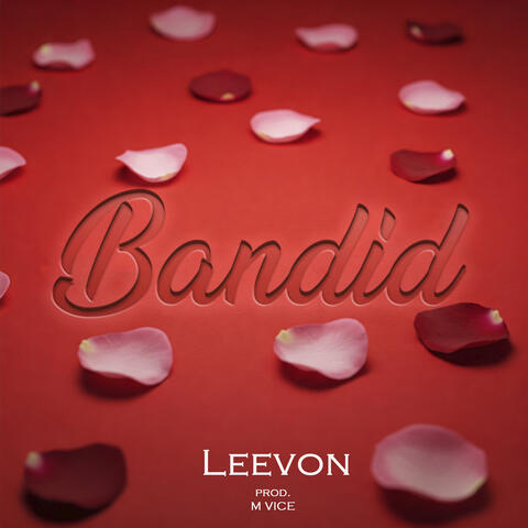 BANDID album art