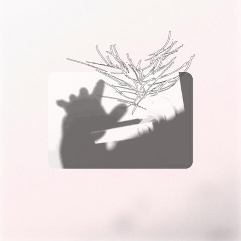 Torie album art