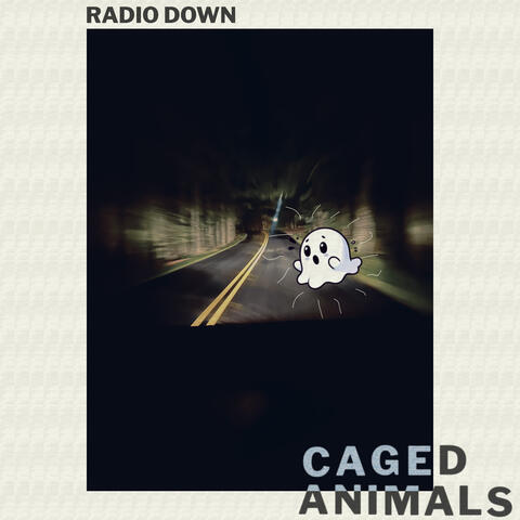 Radio Down album art