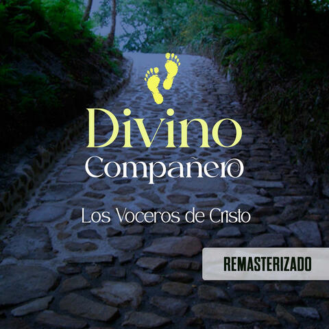Divino Compañero album art