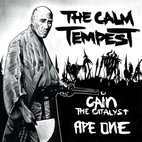 THE CALM TEMPEST album art