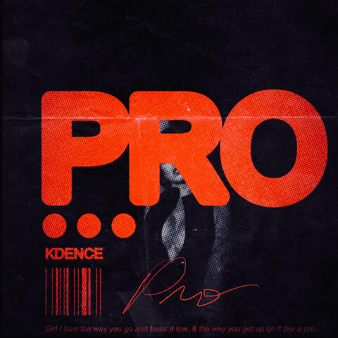 Pro album art