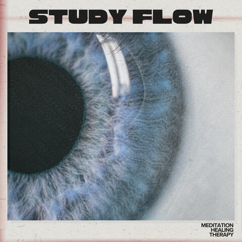 Study Flow album art
