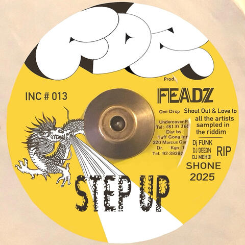 Step Up album art