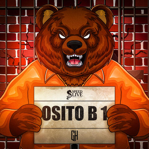 OSITO B1 album art