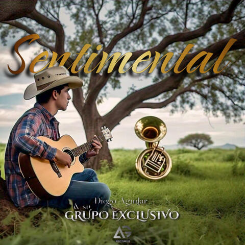 Sentimental album art