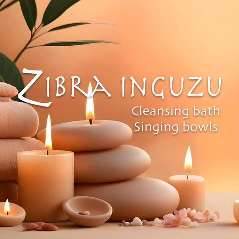Cleansing bath Singing bowls album art