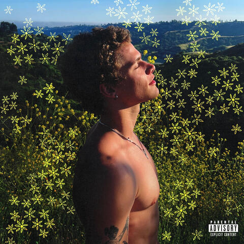 DANDELIONS album art