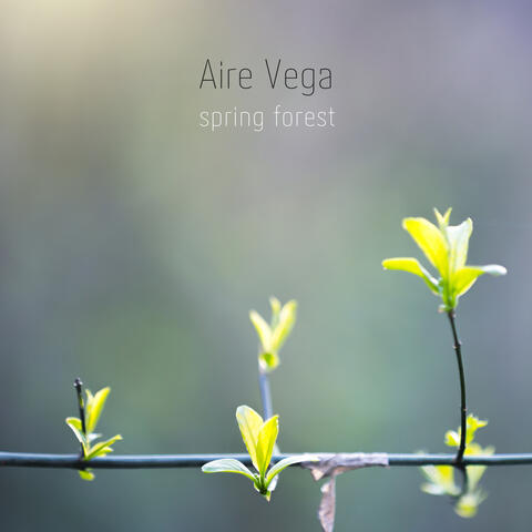 Spring Forest album art