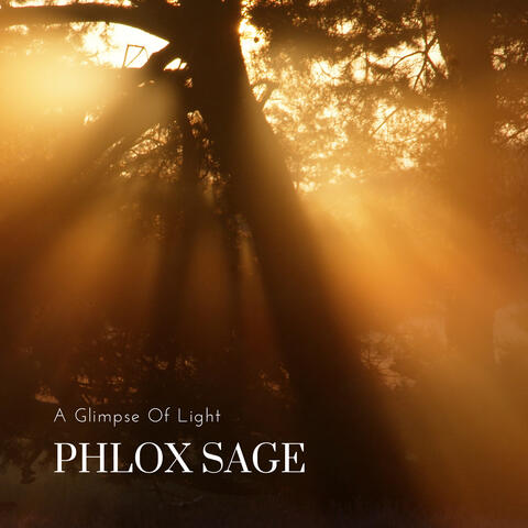 A Glimpse Of Light album art