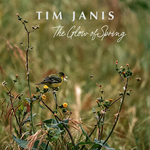 The Glow of Spring album art
