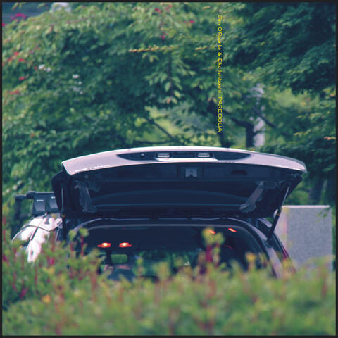 Pareidolia album art