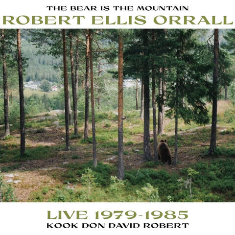 THE BEAR IS THE MOUNTAIN album art