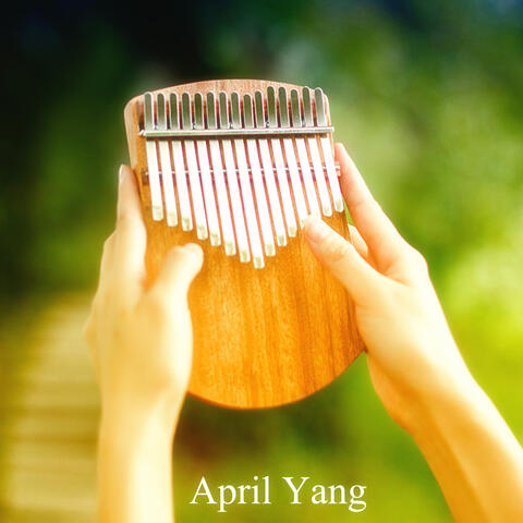 Kalimba Collection album art