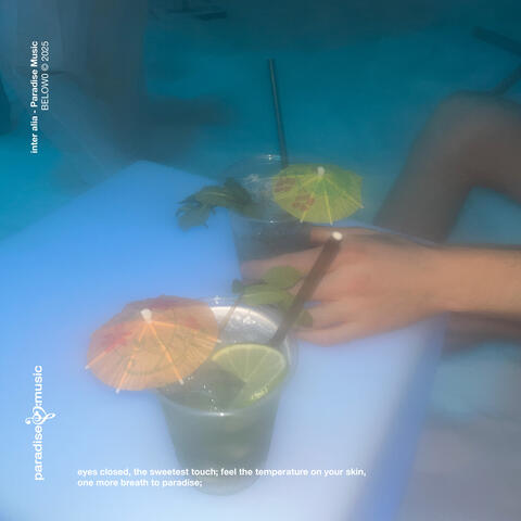 Paradise Music album art