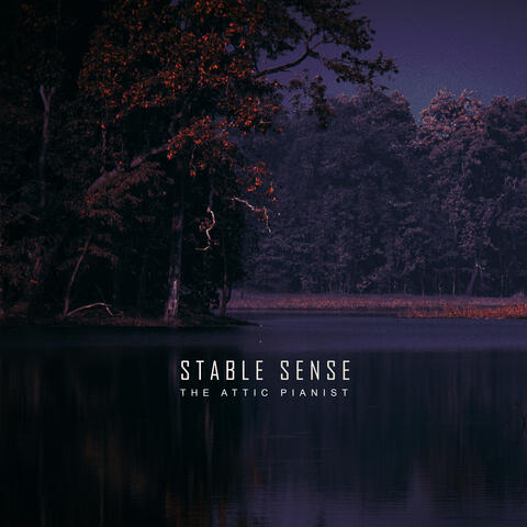 Stable sense album art