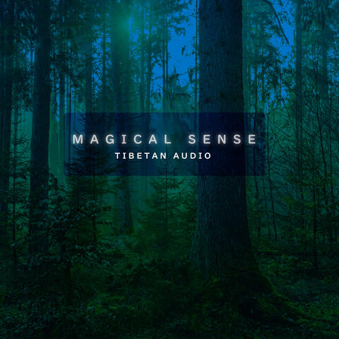 Magical sense album art