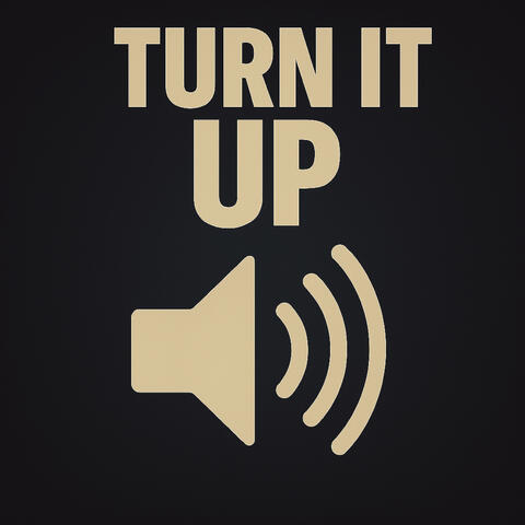 Turn It Up album art