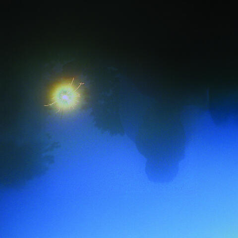 Everybody Gets High album art