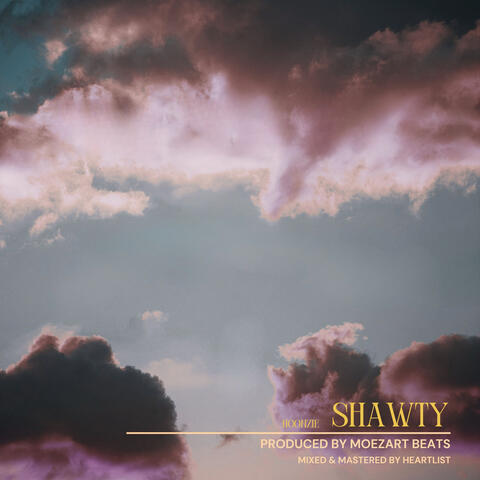 Shawty album art