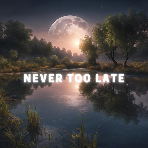 Never Too Late album art