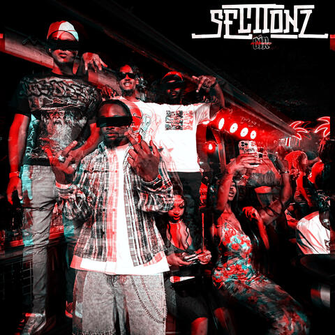 Sectionz album art