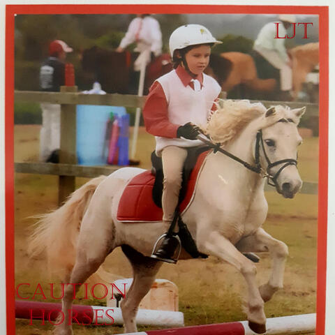 Caution Horses album art