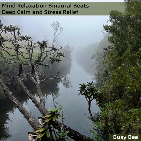 Mind Relaxation Binaural Beats Deep Calm and Stress Relief album art