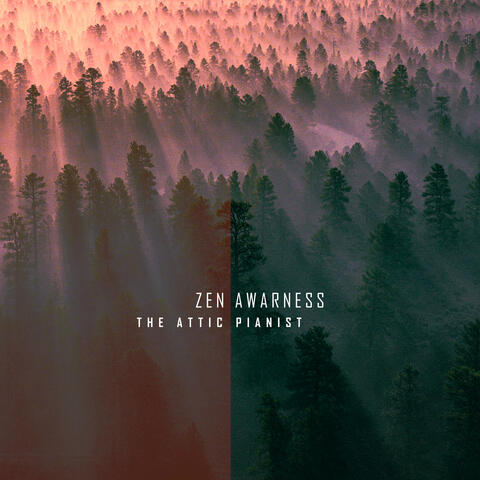 Zen Awareness album art