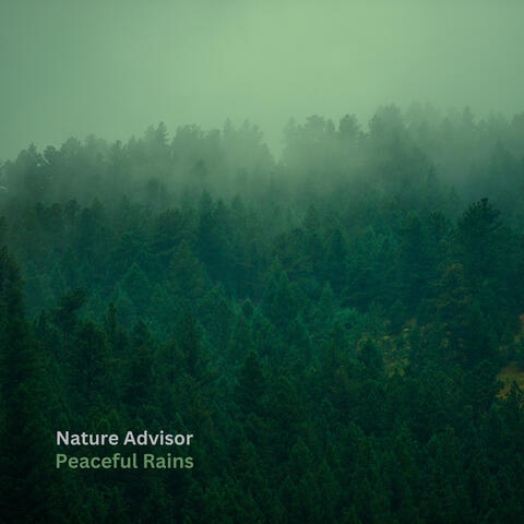 Peaceful Rains album art