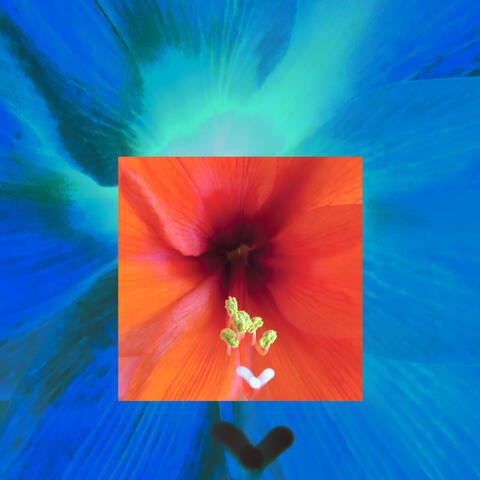 As the Universe Expands album art