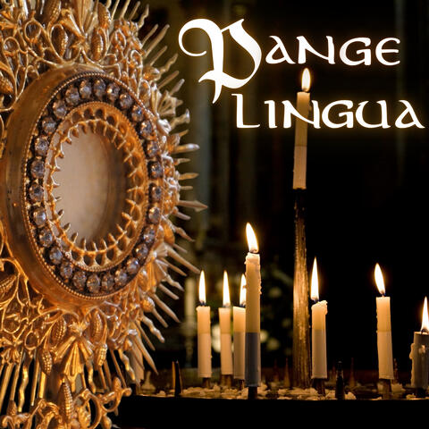 Pange lingua glorisosi - Tantum ergo album art