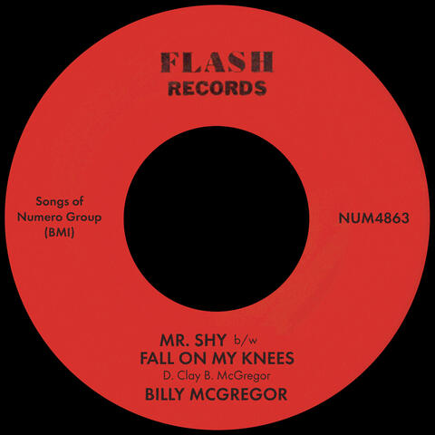 Mr. Shy b/w Fall On My Knees album art