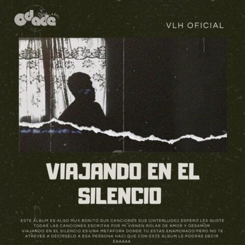 Viajando en el silencio album art