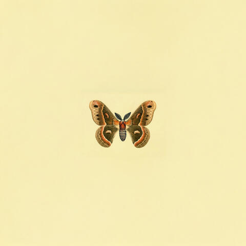 It's What I Am album art