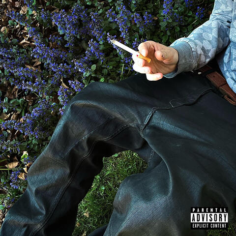 life sucks then you die album art