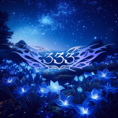 333 album art