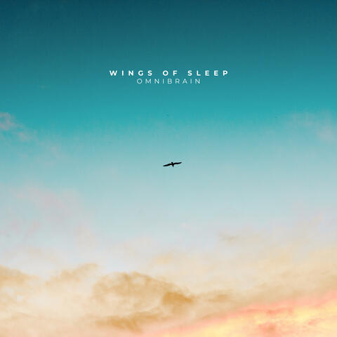 Wings of Sleep album art