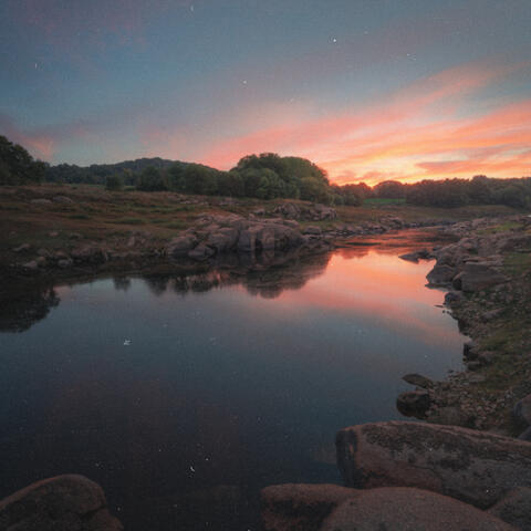 Rivulet album art
