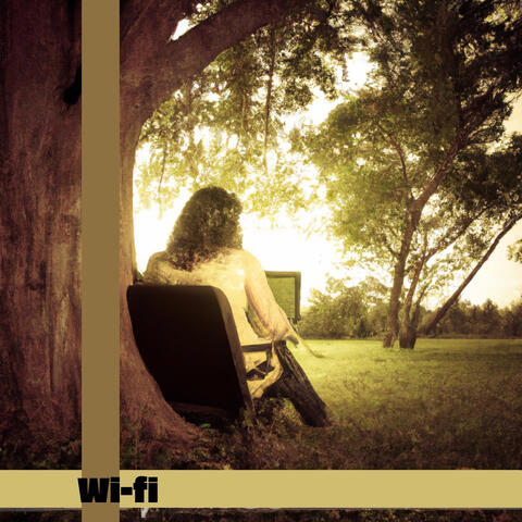 Wi-fi album art