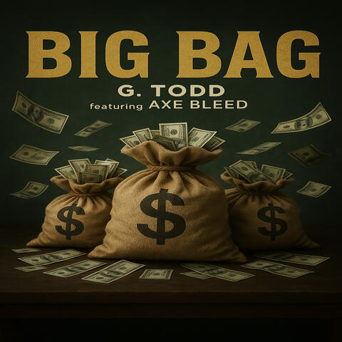 Big Bag album art
