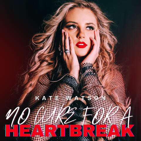 No Cure for a Heartbreak album art